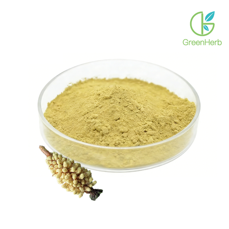 Polvere di polline di pino con parete cellulare rotta