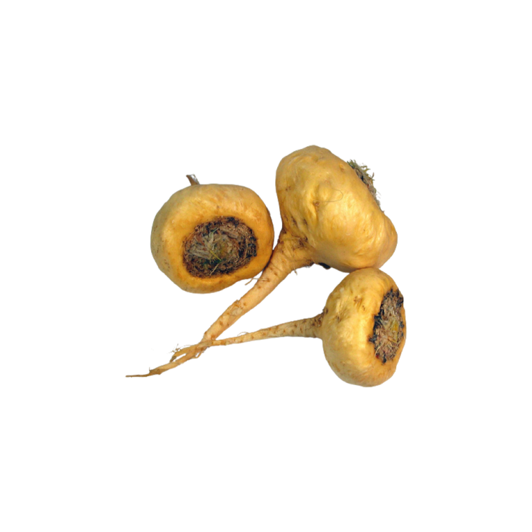 Estratto di maca in polvere
