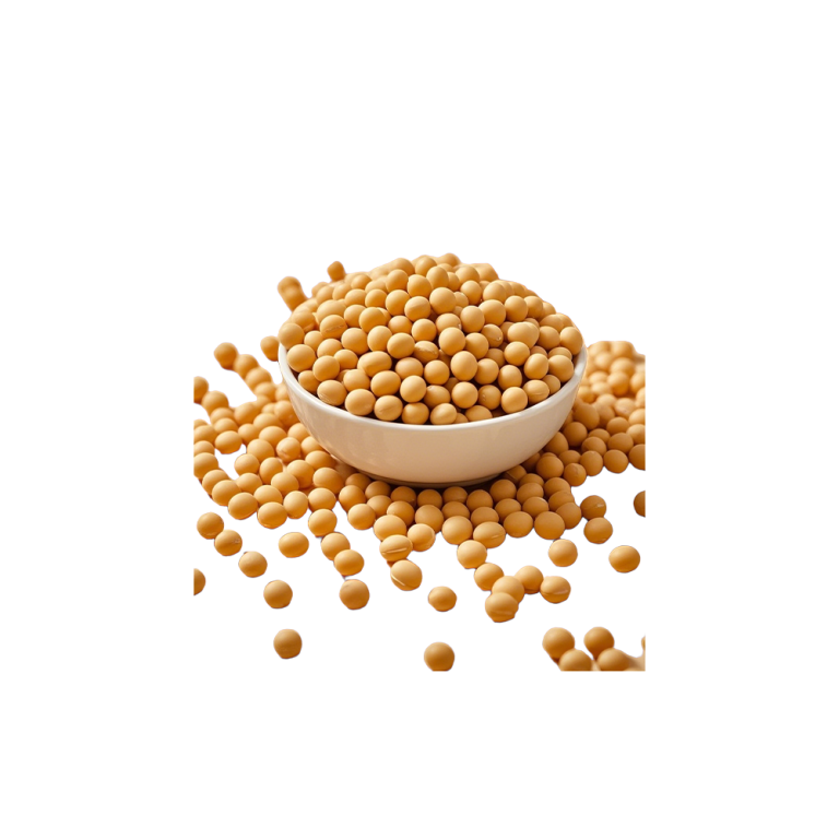 Proteine di soia pure in polvere