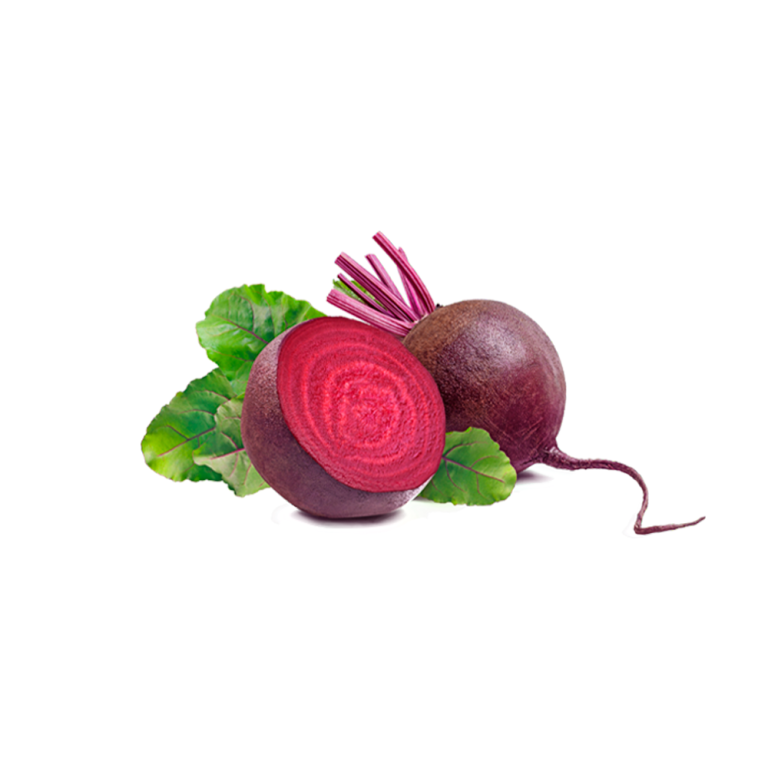 Polvere di barbabietola rossa