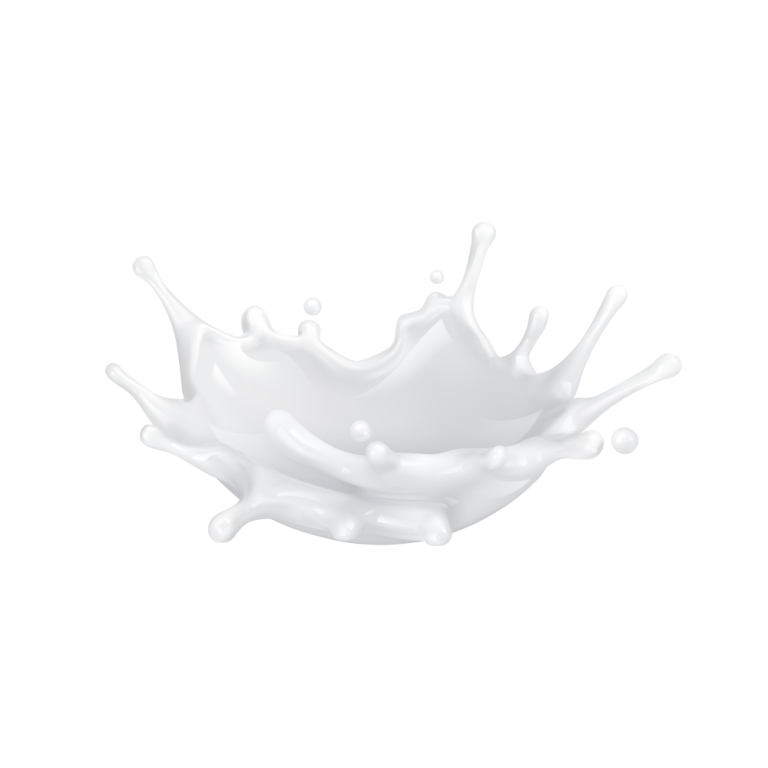 Proteine del siero di latte isolate in polvere