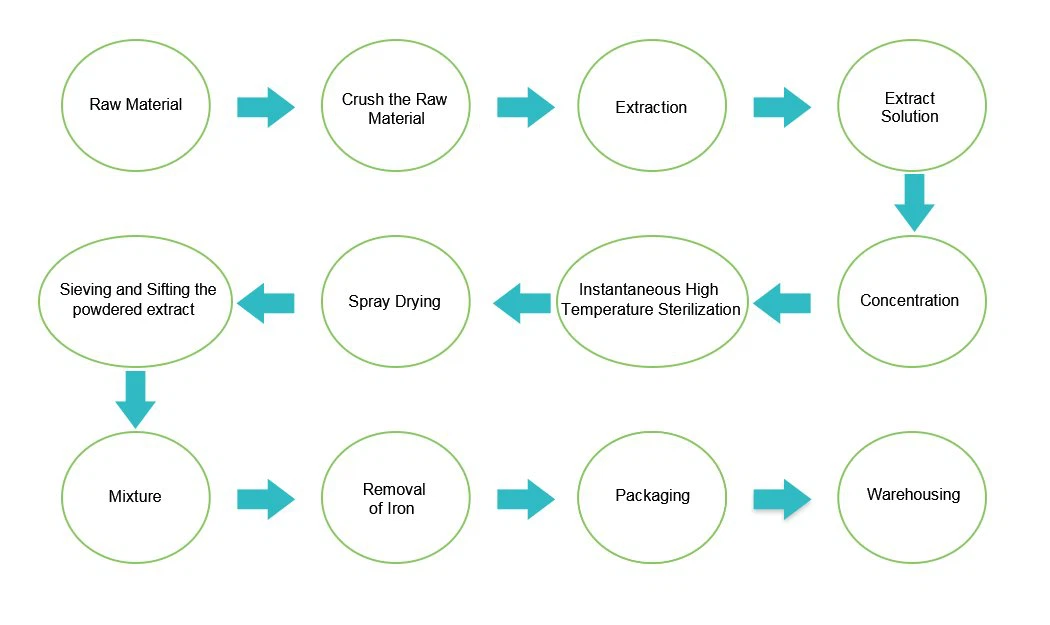 Low-temperature dehydration process flowchart for rosehip fruit powder production