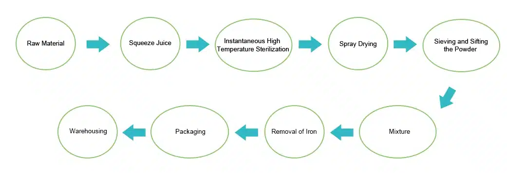 Low-temperature dehydration process flowchart for turmeric root powder production