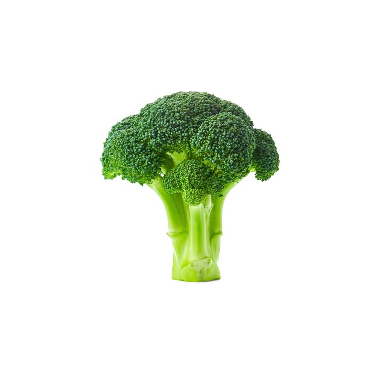 Fotografia macro di un fiorellino fresco di Brassica oleracea var. italica