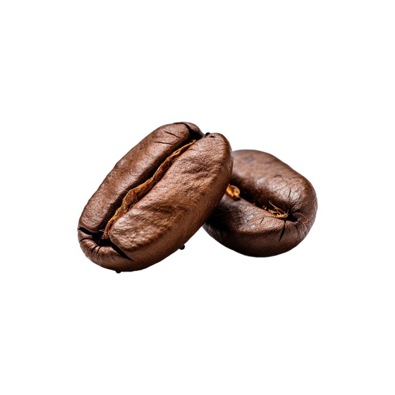 Macrofotografia di granella di semi fermentati di Theobroma cacao