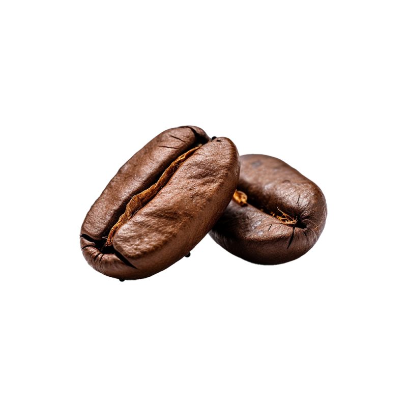 Macrofotografia di granella di semi fermentati di Theobroma cacao