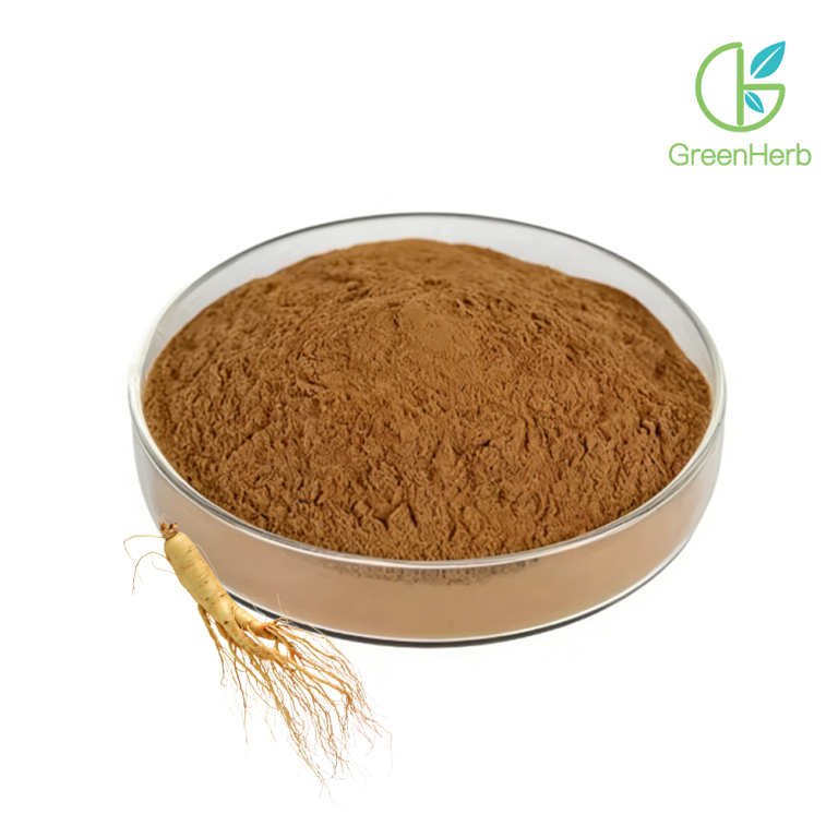 Primo piano della materia prima del ginseng in polvere