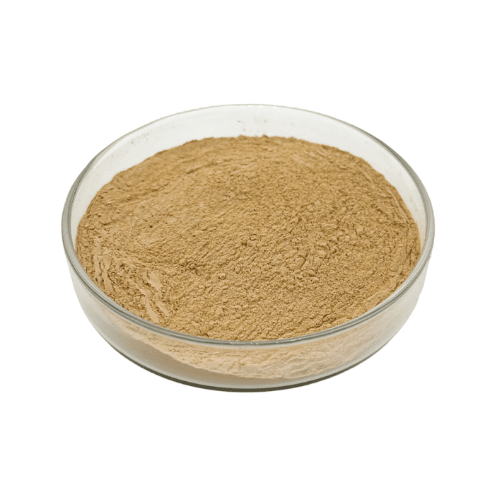 Light yellow Milk Thistle Extract fine powder detail