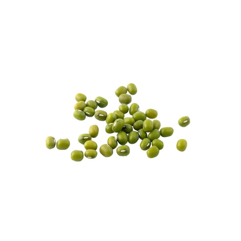 Fotografia macro di semi di fagiolo mungo verde (Vigna radiata)