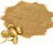 crema in polvere all'estratto di maca, colore giallo-marrone, primo piano