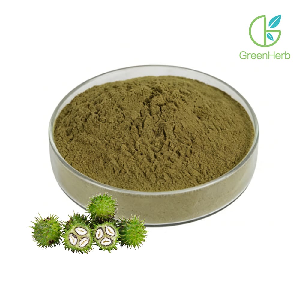 Tribulus Terrestris Powder close-up view Tribulus Terrestris Powder close-up view