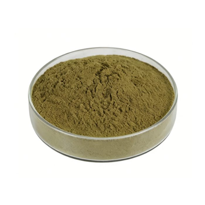 Fine milled Tribulus Terrestris Powder texture detail
