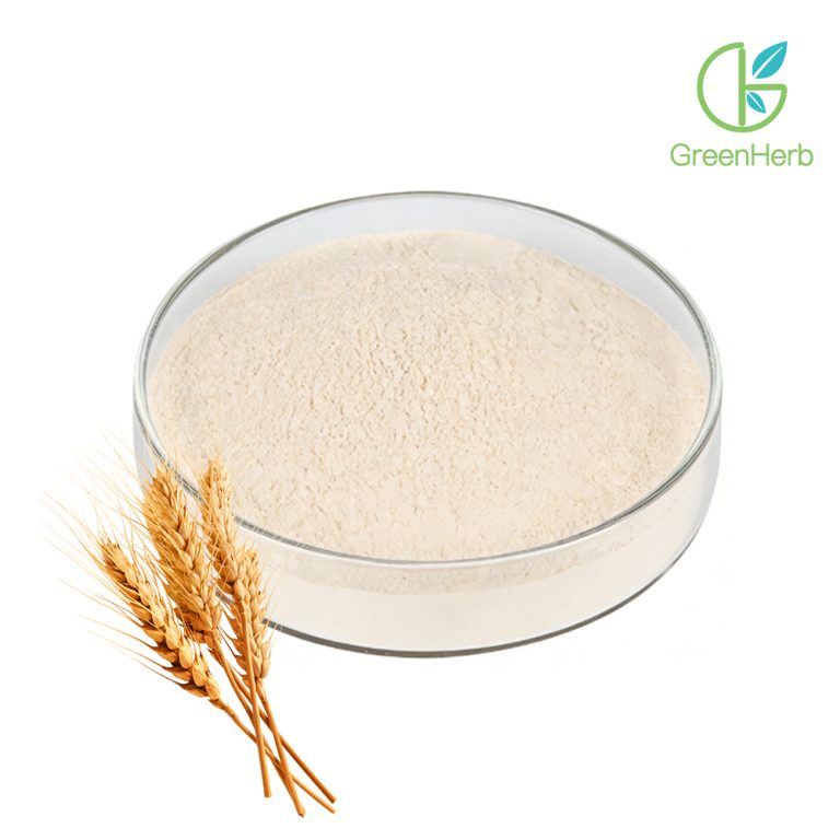 Primo piano sui dettagli della consistenza delle proteine del grano in polvere