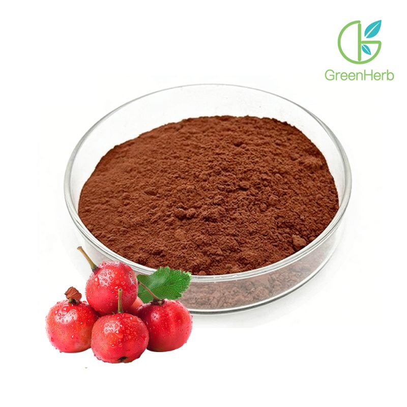 Hawthorn Berry Extract close-up texture detail
