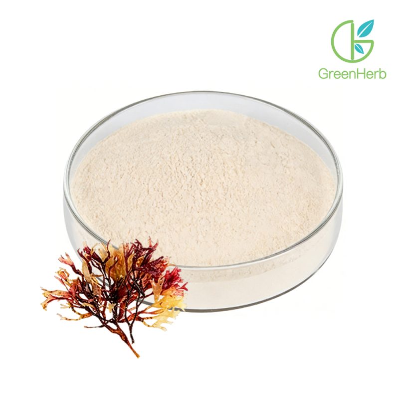 Irish Moss Powder close-up texture detail