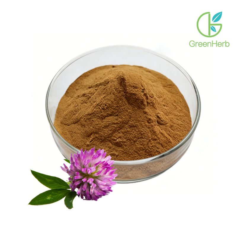 Red Clover Extract close-up texture detail
